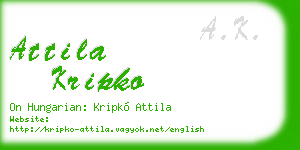 attila kripko business card